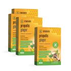PROPOLIS ZÁZVOR 3+1 ZDARMA